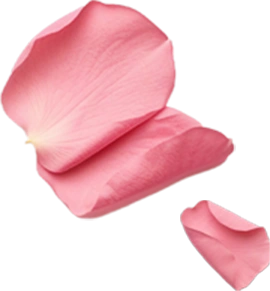 忙しい毎日を、シンプルなケアで美しく。